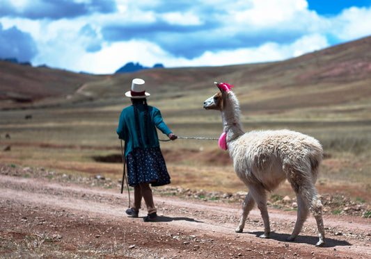 Woman with long braided hair wearing a white hat and green jacket seen from behind leading a llama on a path, with the Andes mountains and a cloudy sky in the background